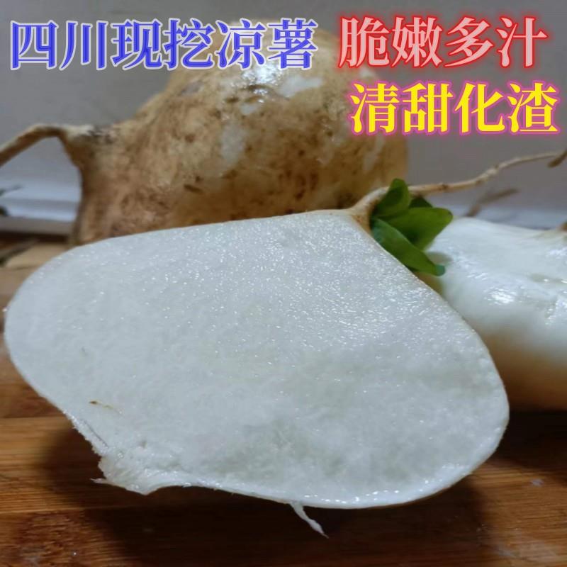 四川凉薯新鲜地瓜现挖沙葛凉瓜当季水果蔬菜四川农家地梨土瓜番薯