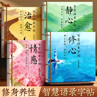 字帖女生字体漂亮行楷修身养性练字帖成人静心挽鸢玫瑰奶酪手写体