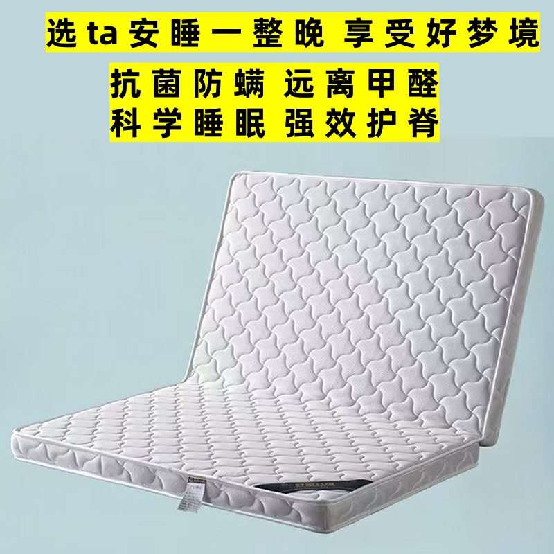 经济环保天然椰棕双人床垫出租房