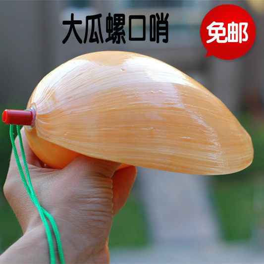 包邮天然超大海螺贝壳工艺品瓜螺口哨号角大螺号响螺可做盆栽珊瑚