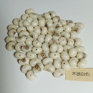 一件30颗 草珠坊 精选棕树籽 已打磨抛光打孔