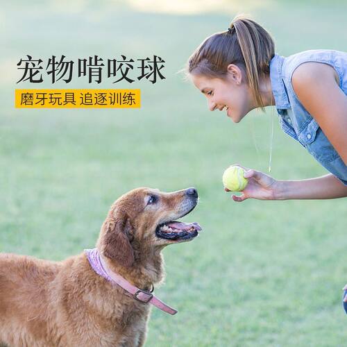 狗狗玩具球耐咬小狗狗幼犬户外球大型犬马犬磨牙宠物狗训练球