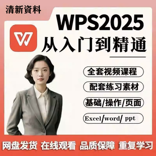 2025年WPS,Word，Exce，pptl从入门到精通教程更新中