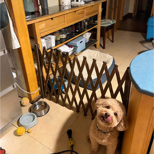 宠物围栏防猫门栏狗狗栅栏隔离阻拦猫咪栏杆挡板室内阳台护栏笼子