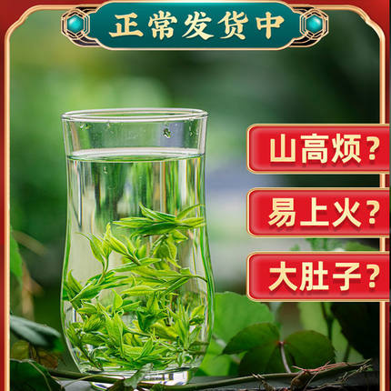2025年新茶毛冬青茶正品云南正宗特级青山绿水展销会同款茶250克
