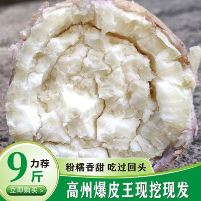 爆皮王番薯白心红薯地瓜高州产地直发香粉甜糯3斤/5斤/9斤