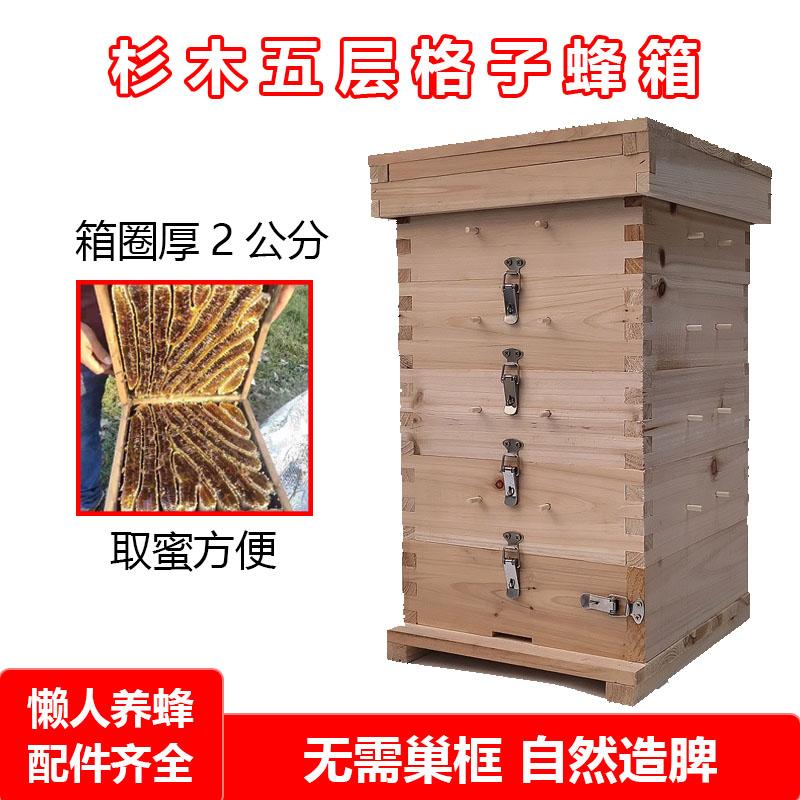 格子蜂箱舜蜂土养蜜蜂箱杉木制做