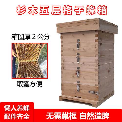 格子蜂箱舜蜂土养蜜蜂箱杉木制做