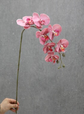 仿真花单支3D胶片7头蝴蝶兰