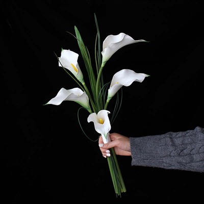 马蹄莲影楼摄影马蹄莲手捧花