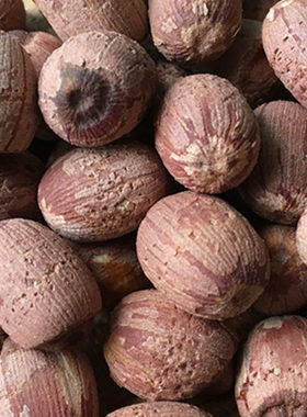 2025年新货新鲜莲子自产干货500g小粒带心 有芯红皮 莲子500g包邮