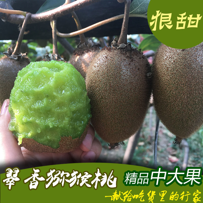 陕西周至正宗翠香猕猴桃新鲜水果奇异果猕猴桃实惠之选