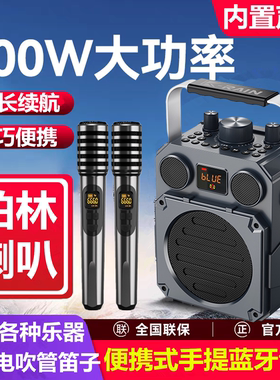 500W柏林之声户外K歌音响广场舞蓝牙音箱便携式手提家用唱歌一体