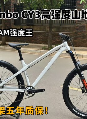 新款瑞博WinboCY3山地车Am