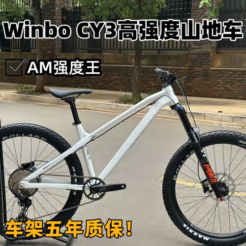 新款瑞博WinboCY3山地车Am