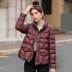 丽新折扣女装 羽绒服 95鸭绒轻盈高品质立领百搭洋气 D姿 系列