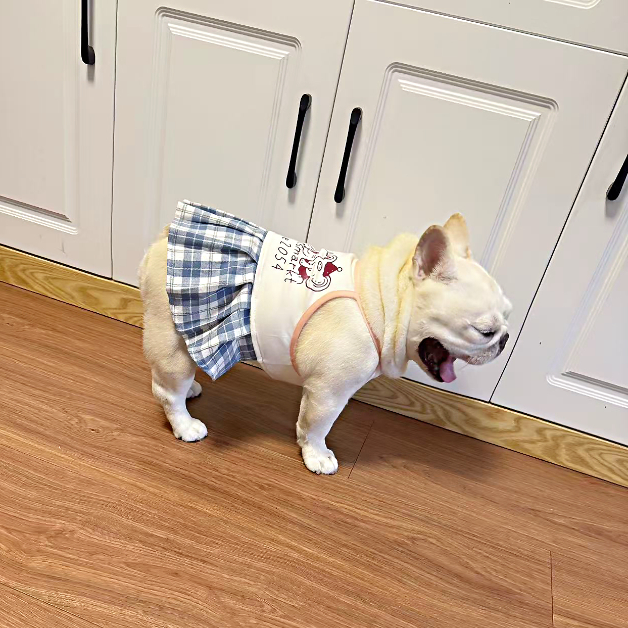 Jk百褶连衣裙FB小众原创自制