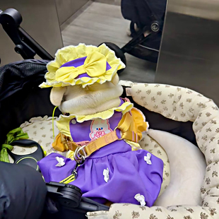 非非小众原创花苞裙背带女仆装紫色套装自制狗狗法斗衣服恶霸春秋