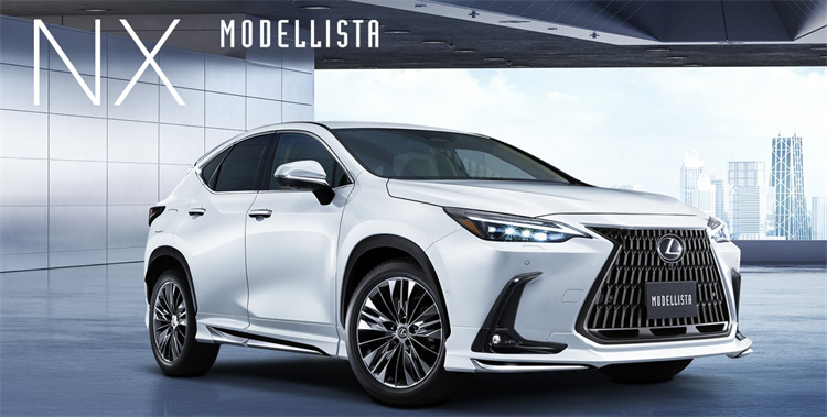 雷克萨斯NX蒙娜丽莎前后唇