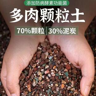 【多肉专用颗粒土】 【多肉营养土】 好种养 轻松服盆  易上色