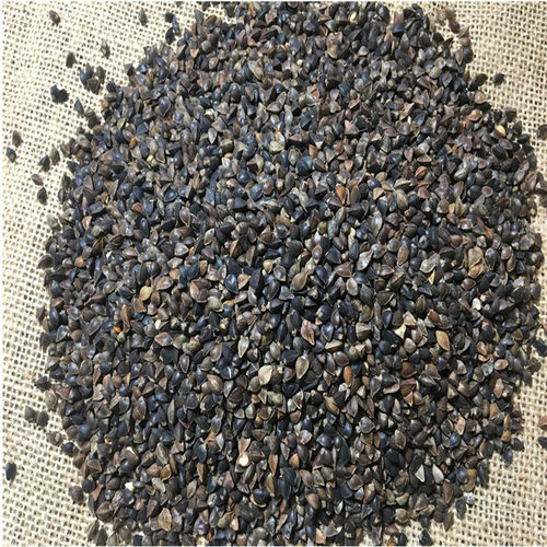 优质饲料信鸽赛鸽观赏鸽包邮鸽粮