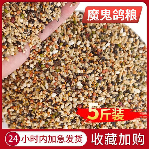 魔鬼无玉米小颗粒食粮特级斑鸠