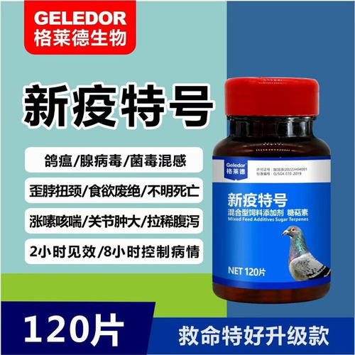 格莱德拉稀水绿便大肠杆菌鸽药