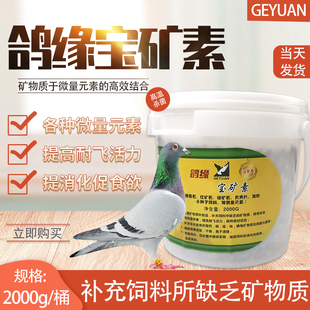 鸽缘保健砂赛信鸽专用魔力宝矿素鸽子食粮助消化补高钙桶装 2000g