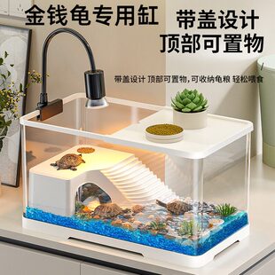 金钱龟专用缸新款过滤乌龟缸家用小型龟缸养龟专用桌面水族箱龟缸