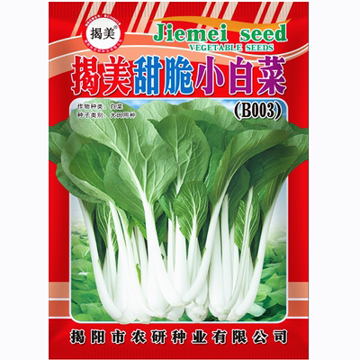 蔬菜种子四季阳台盆栽蔬菜种子