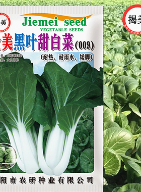 金美25克黑叶甜白菜种子 耐热耐雨水矮脚小白菜 阳台田园易种蔬菜