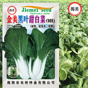 金美黑叶甜白菜种子 耐热耐雨水矮脚小白菜 阳台田园易种蔬菜种子