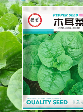 【大叶木耳菜种子】豆腐菜 落葵 篱笆菜 蚕菜 紫豆菜 胭脂菜蔬菜