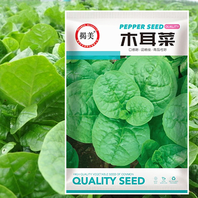 落葵紫豆胭脂大叶木耳菜
