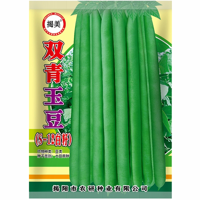 揭美双青玉豆种子 白籽四季豆架豆刀豆籽 春秋高产豆角种子25克