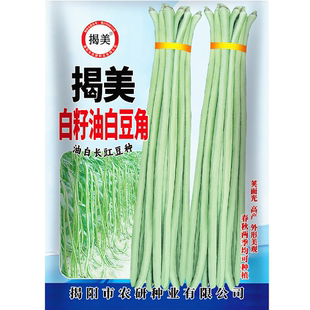揭美油白长豆角种子 高产油白长豇豆籽 春秋播菜豆蔬菜种子