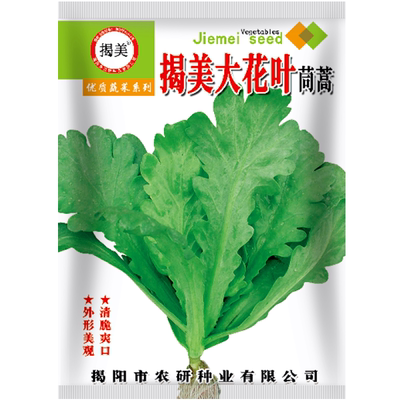 揭美大花叶茼蒿种子 大叶茼蒿籽 秋播蔬菜种子易种农业菜籽10克