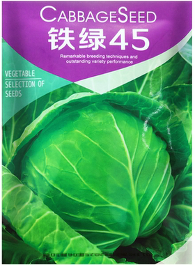 杂交高产结球甘蓝种子