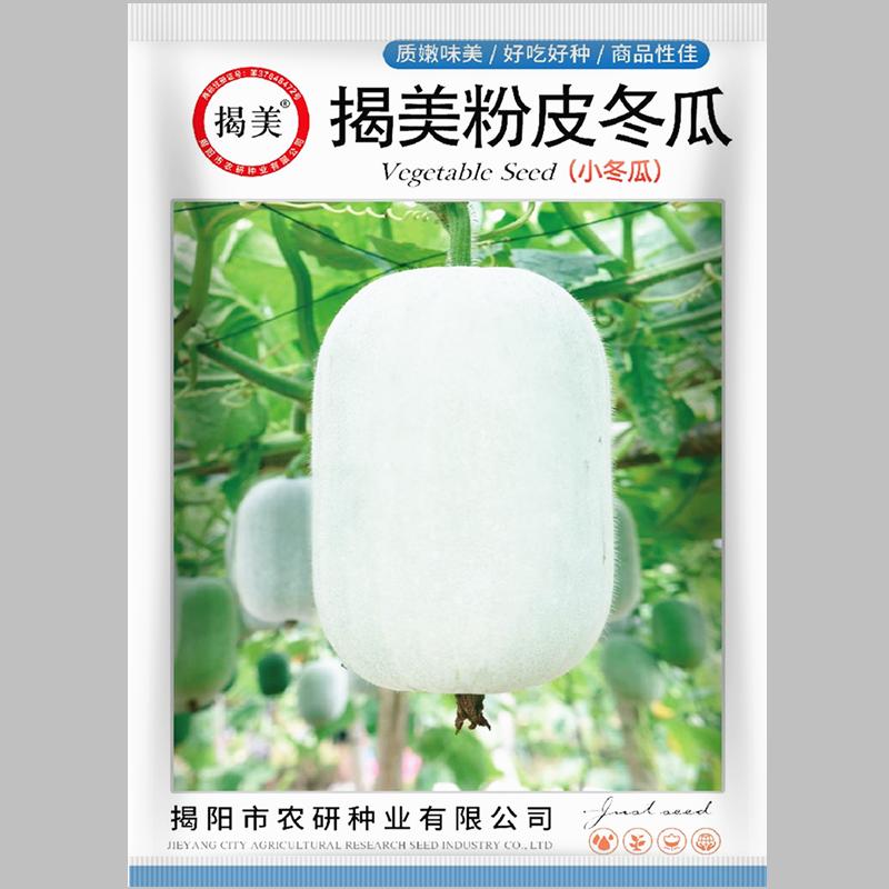 揭美冬瓜种子蔬菜种子