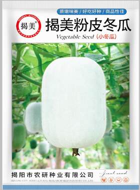揭美冬瓜种子蔬菜种子