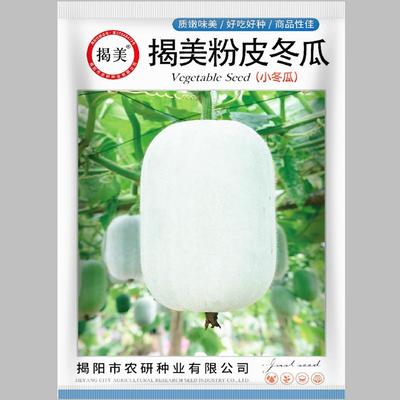 揭美冬瓜种子蔬菜种子