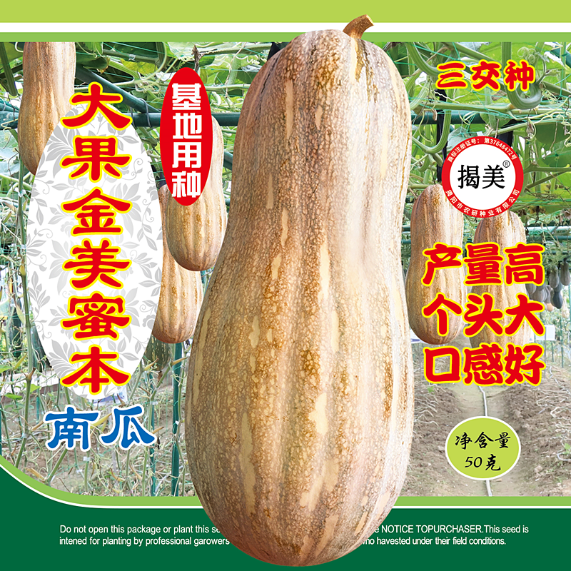 杂交一代大果金美蜜本南瓜种子 甜粉型密本南瓜籽 罐装种子50克,农用物资,蔬菜种子/种苗,淘宝优惠券,粉丝福利购,淘宝优惠卷