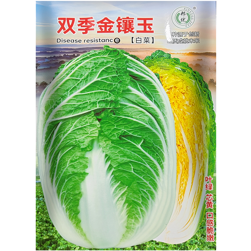 杂交绿叶黄心白菜种子 黄包心大白菜 阳台农业蔬菜种子5克