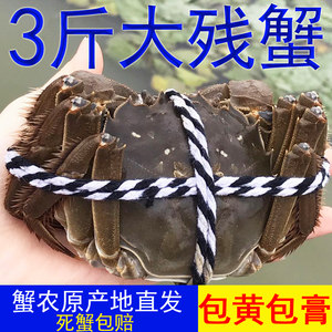 特大号残蟹鲜活高淳固城湖大闸蟹残次蟹断脚蟹公母螃蟹3斤9-10只