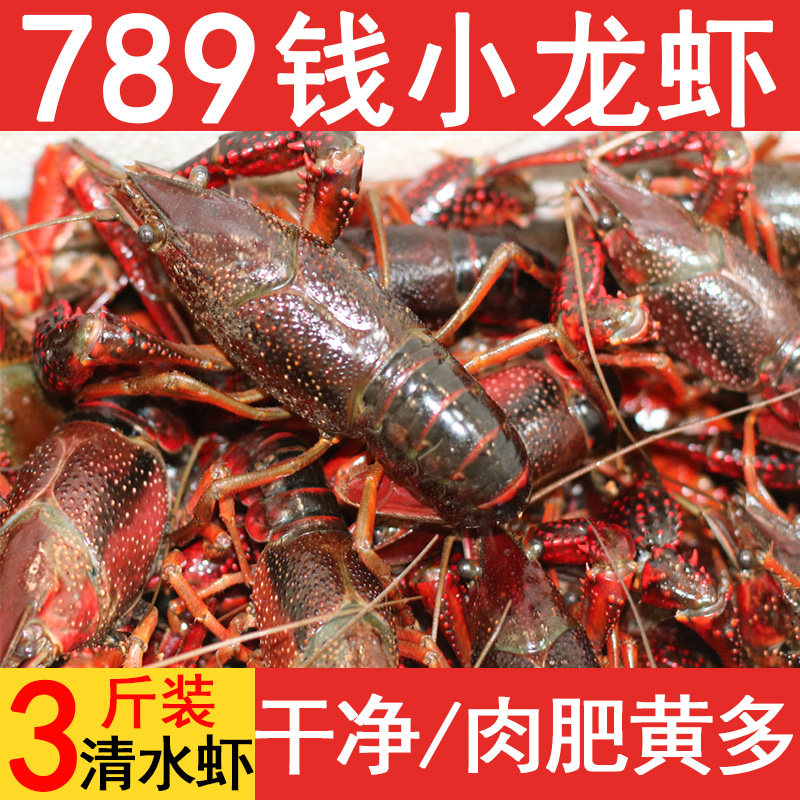江苏盱眙清水小龙虾鲜活3斤装非洪泽湖789钱特大活体青壳虾红虾