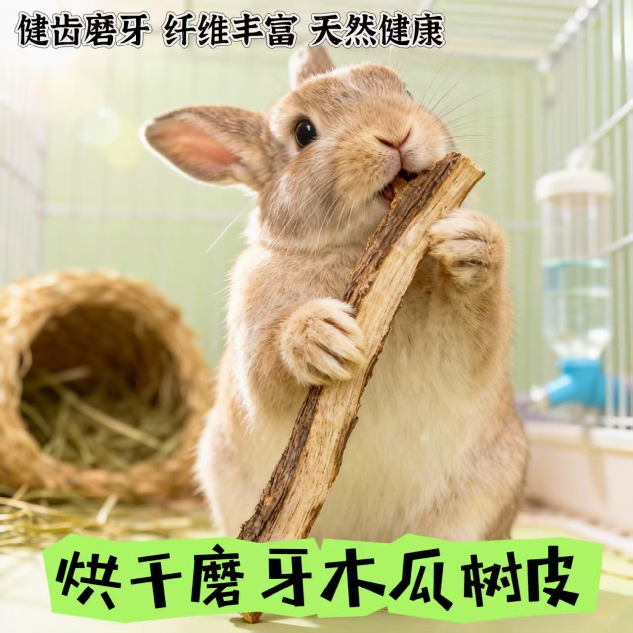 【兔子林】烘干木瓜树皮树芯兔兔龙猫荷兰猪天然磨牙零食咬木50克
