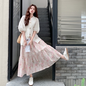 韩系甜美减龄套装裙女2025年新款超好看刺绣小衫碎花半身裙两件套图片