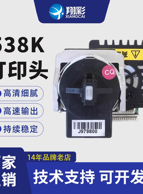 翔彩 适用 映美FP538K打印头 FP312K 映美530KIII 映美530K3+ 560K 映美620K+ 映美630K+打印头 打印机 针头