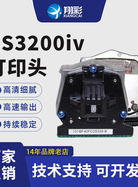 翔彩适用得实打印机头DS3200IV DS400 DS2600II DS300打印头 DS650 AR550针头 DS1100II 1700II  SK820打印头