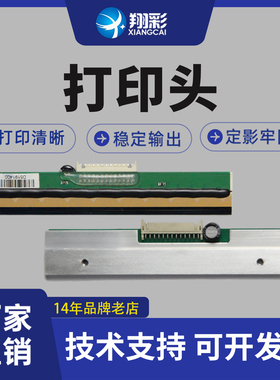 翔彩 适用得实DL-210热敏头 DL-218 210 200打印头 DL-620 DL-200 热敏头 DL100 TL244打印头TL200打印头